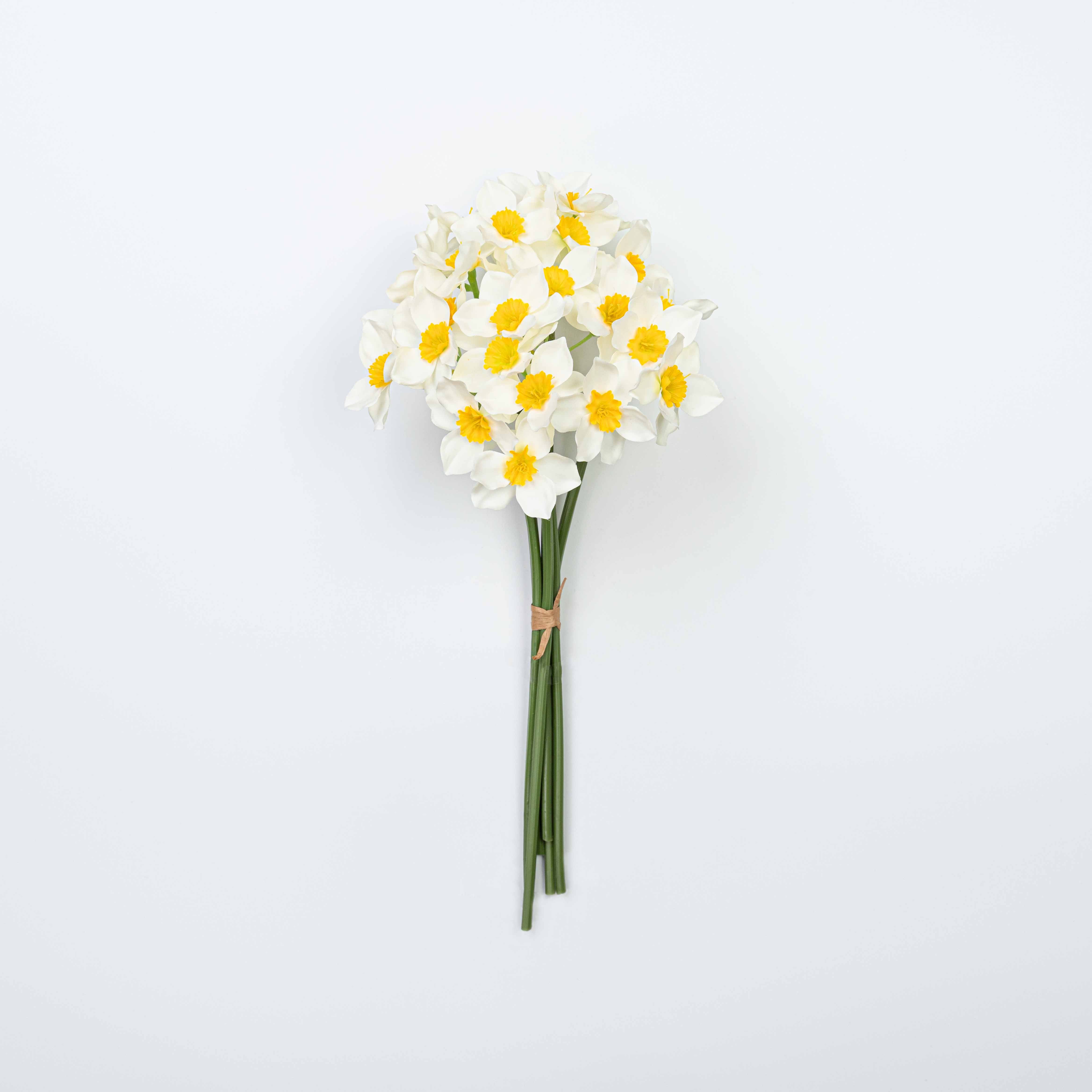16" DAFFODILS BUNDLE X 6