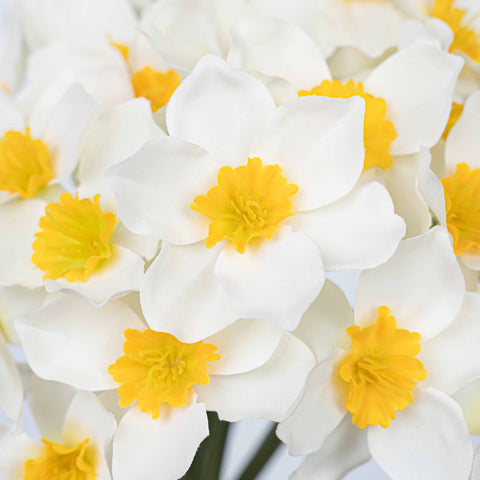 16" DAFFODILS BUNDLE X 6