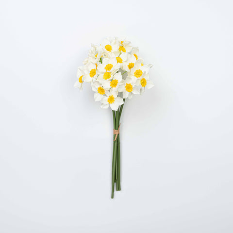 16" DAFFODILS BUNDLE X 6