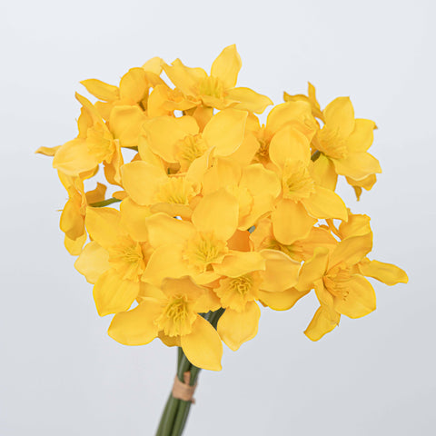 16" DAFFODILS BUNDLE X 6