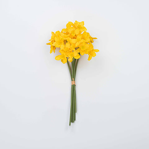 16" DAFFODILS BUNDLE X 6