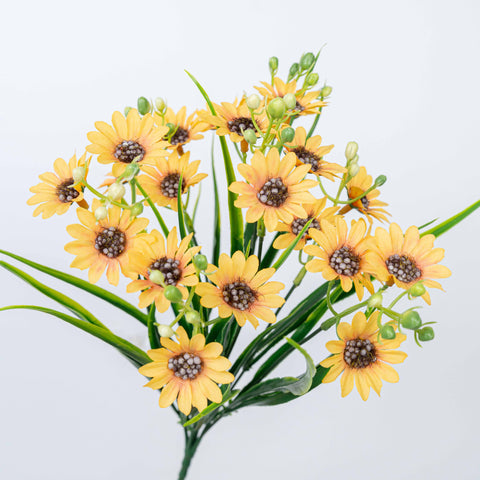 13" DAISY BUSH X 7