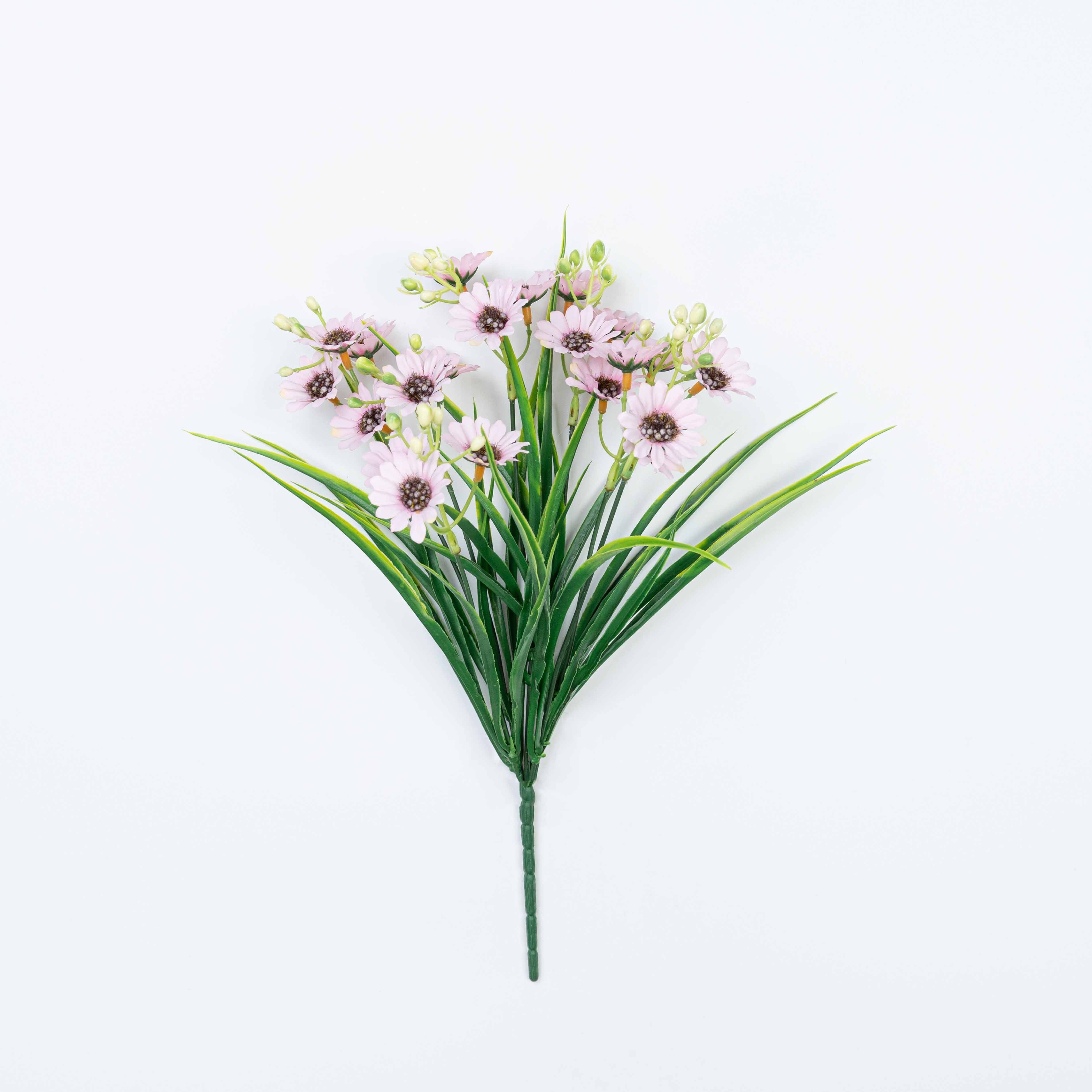 13" DAISY BUSH X 7