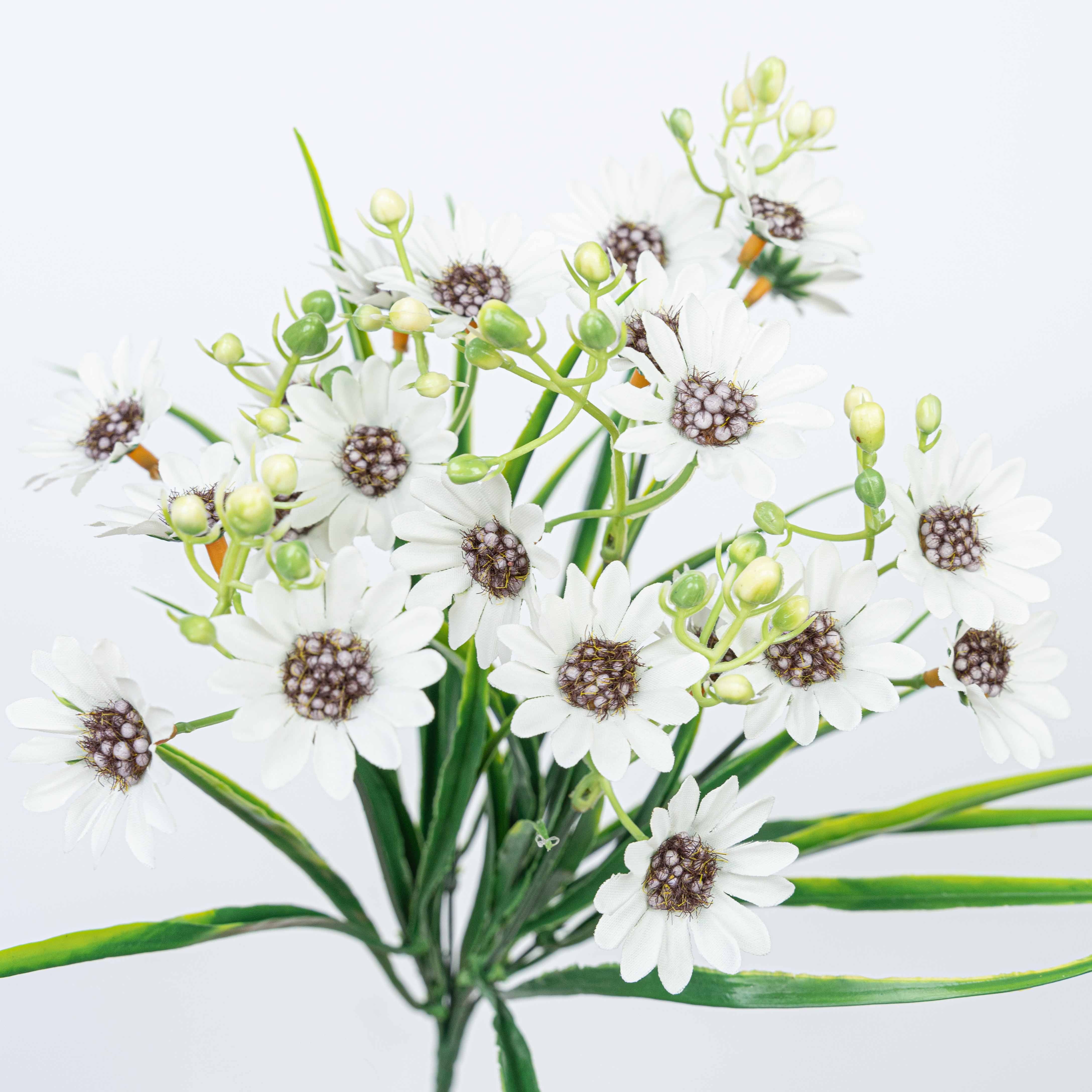 13" DAISY BUSH X 7