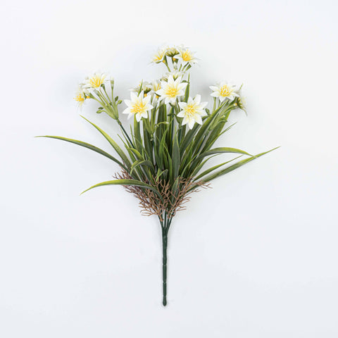 14" DAISY BUSH X 5
