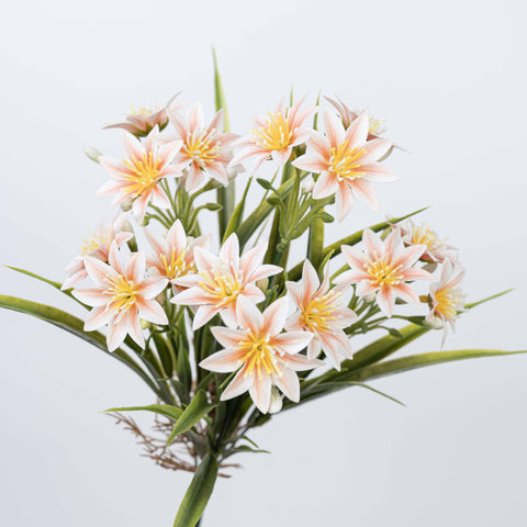14" DAISY BUSH X 5