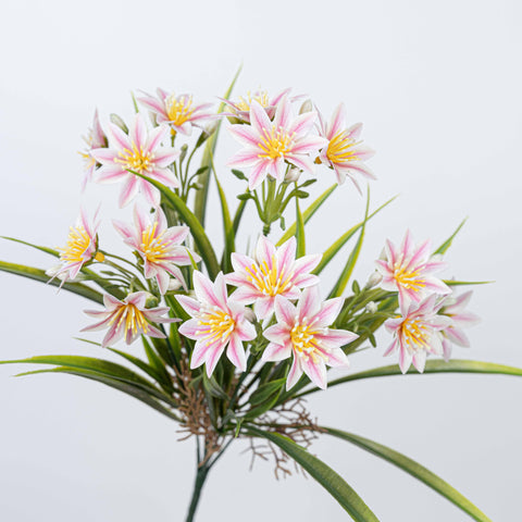 14" DAISY BUSH X 5