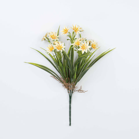 14" DAISY BUSH X 5