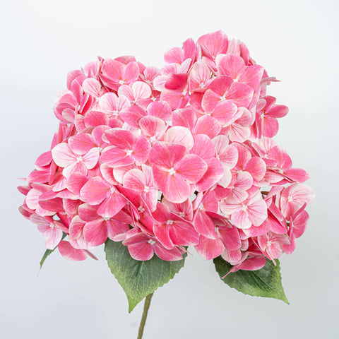 19" REAL TOUCH HYDRANGEA BUSH X 5