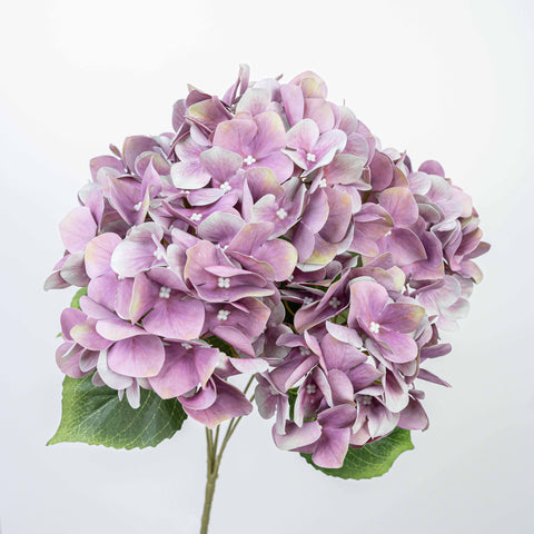 19" REAL TOUCH HYDRANGEA BUSH X 5