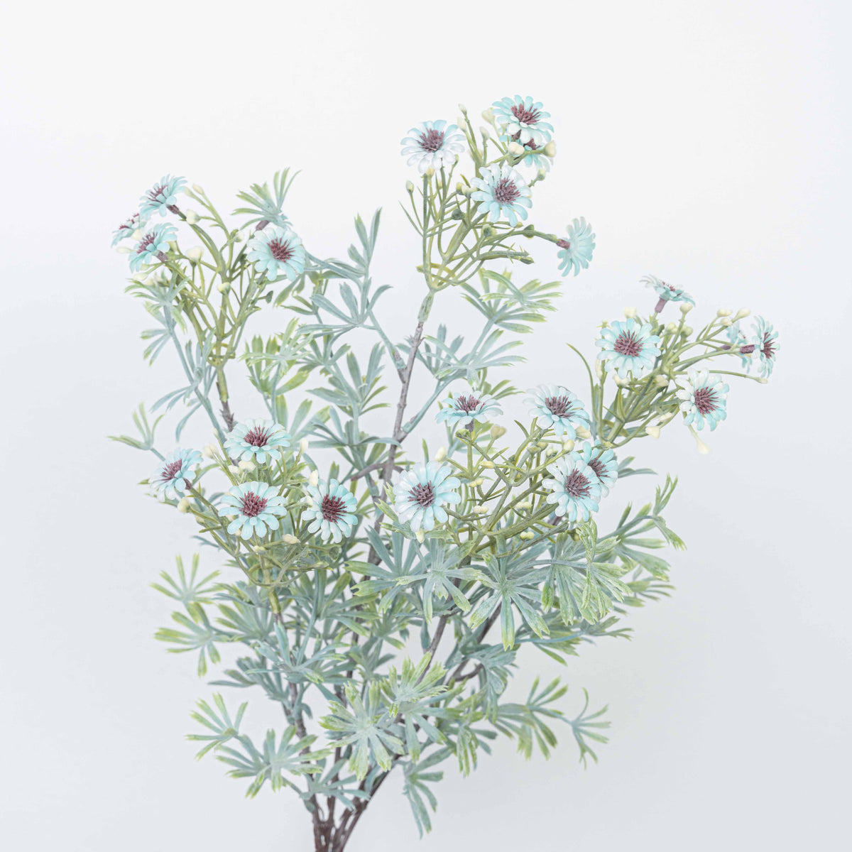 18" DAISY BUSH X 5