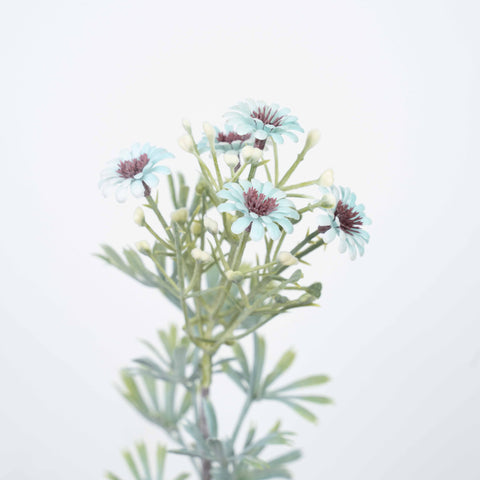 18" DAISY BUSH X 5