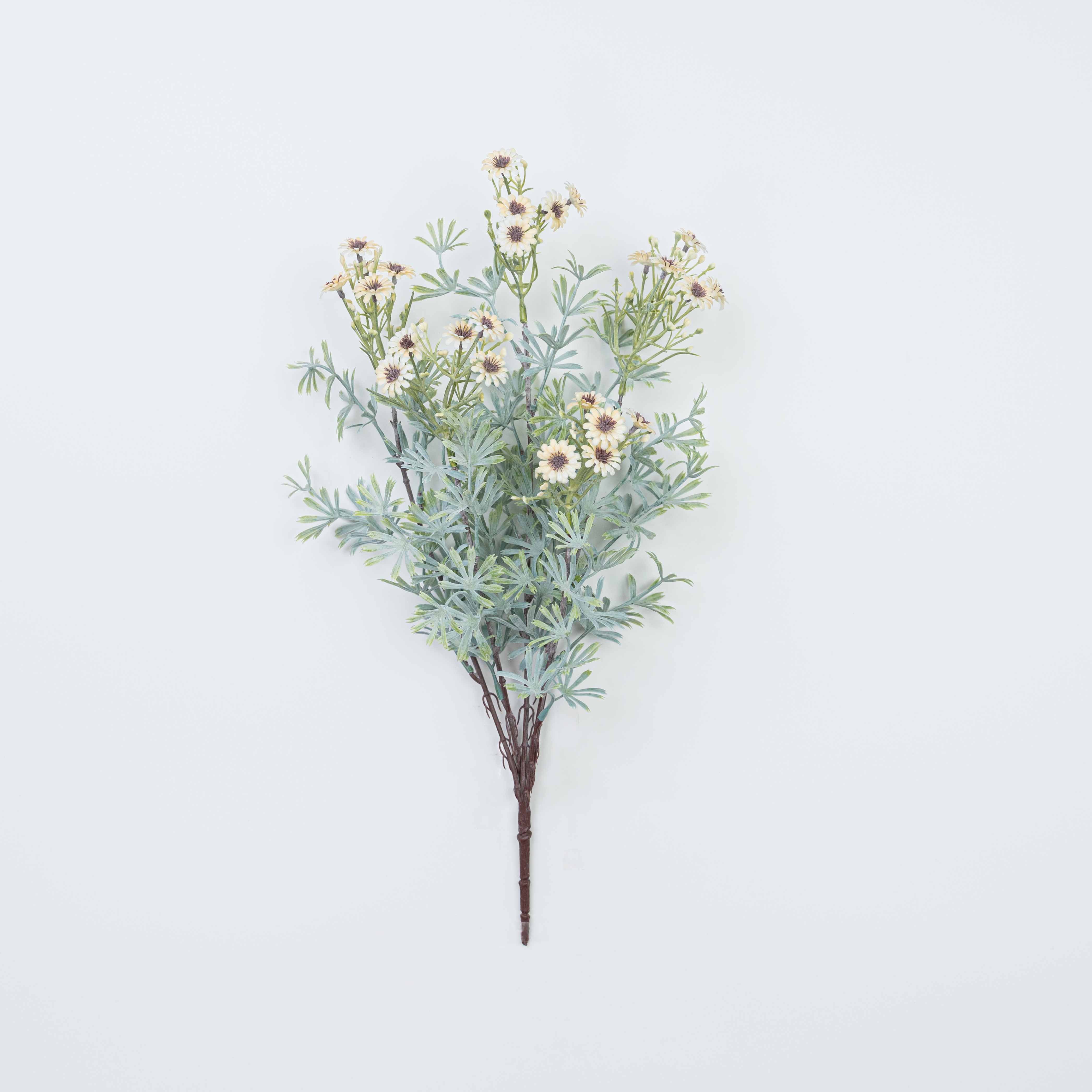 18" DAISY BUSH X 5