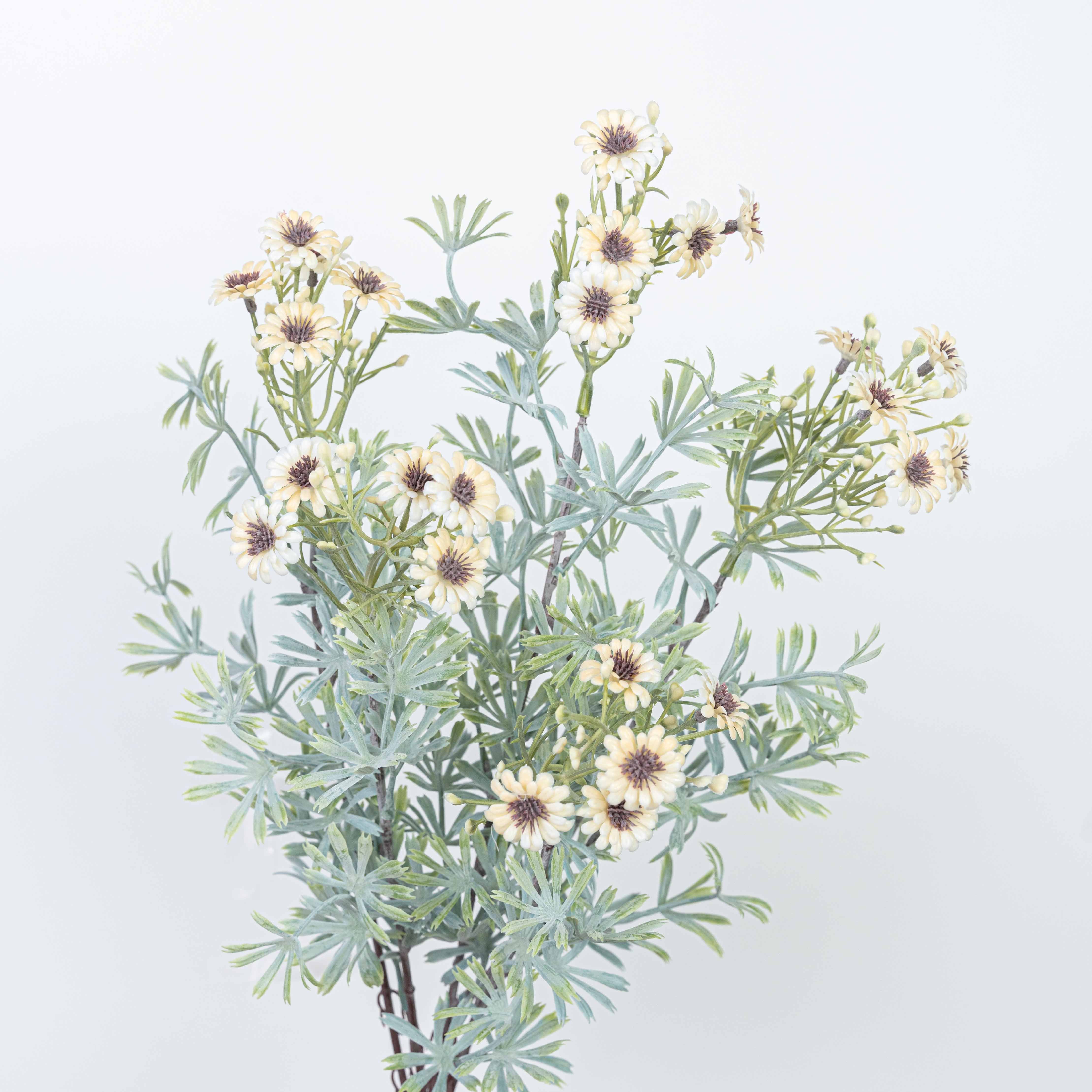 18" DAISY BUSH X 5