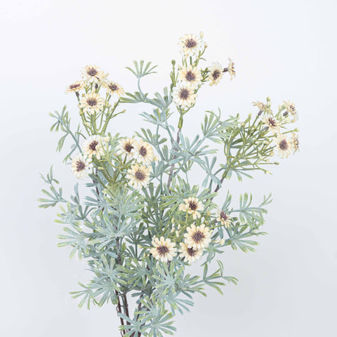 18" DAISY BUSH X 5