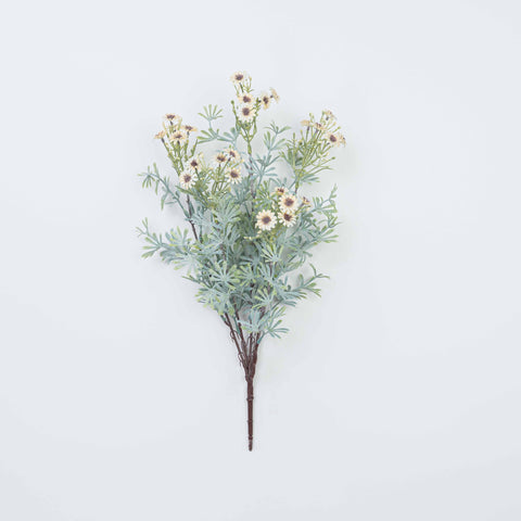 18" DAISY BUSH X 5