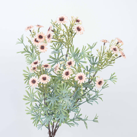 18" DAISY BUSH X 5
