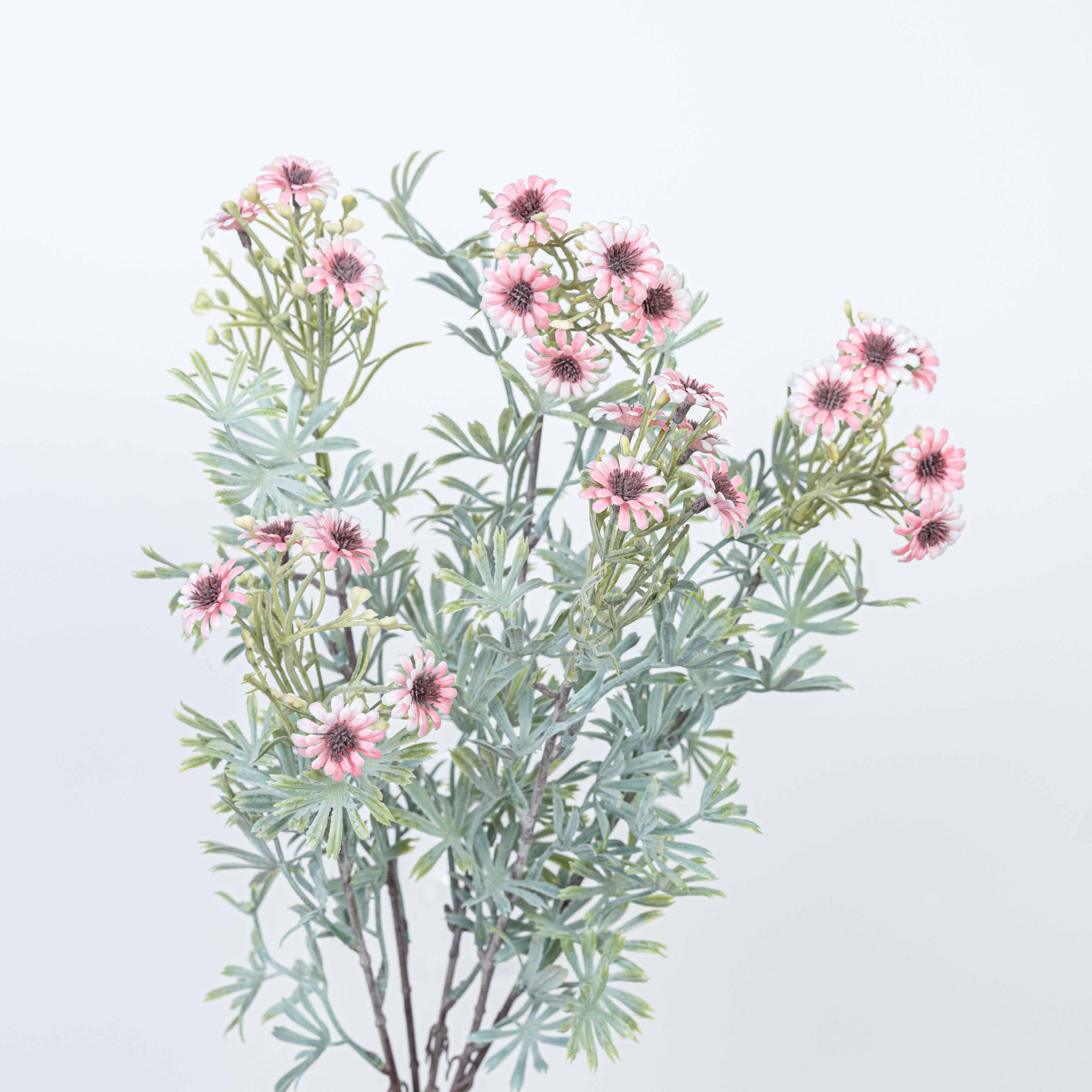 18" DAISY BUSH X 5