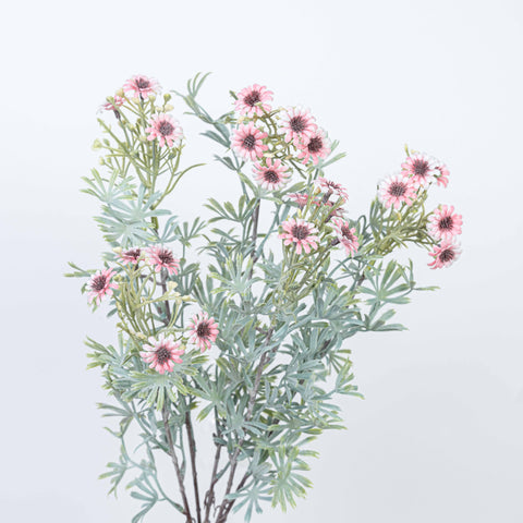 18" DAISY BUSH X 5
