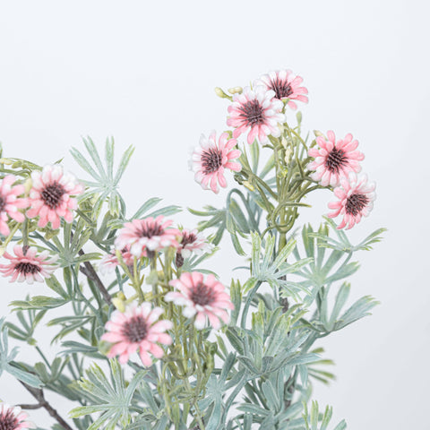 18" DAISY BUSH X 5