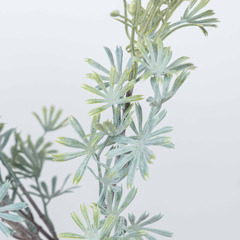 18" DAISY BUSH X 5
