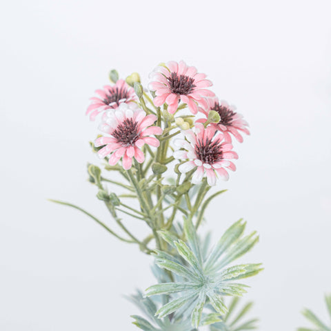 18" DAISY BUSH X 5