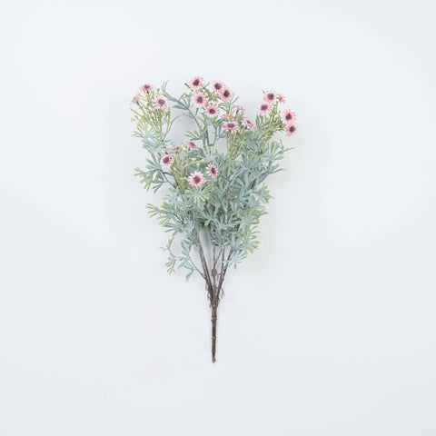 18" DAISY BUSH X 5