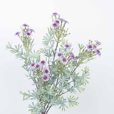 18" DAISY BUSH X 5