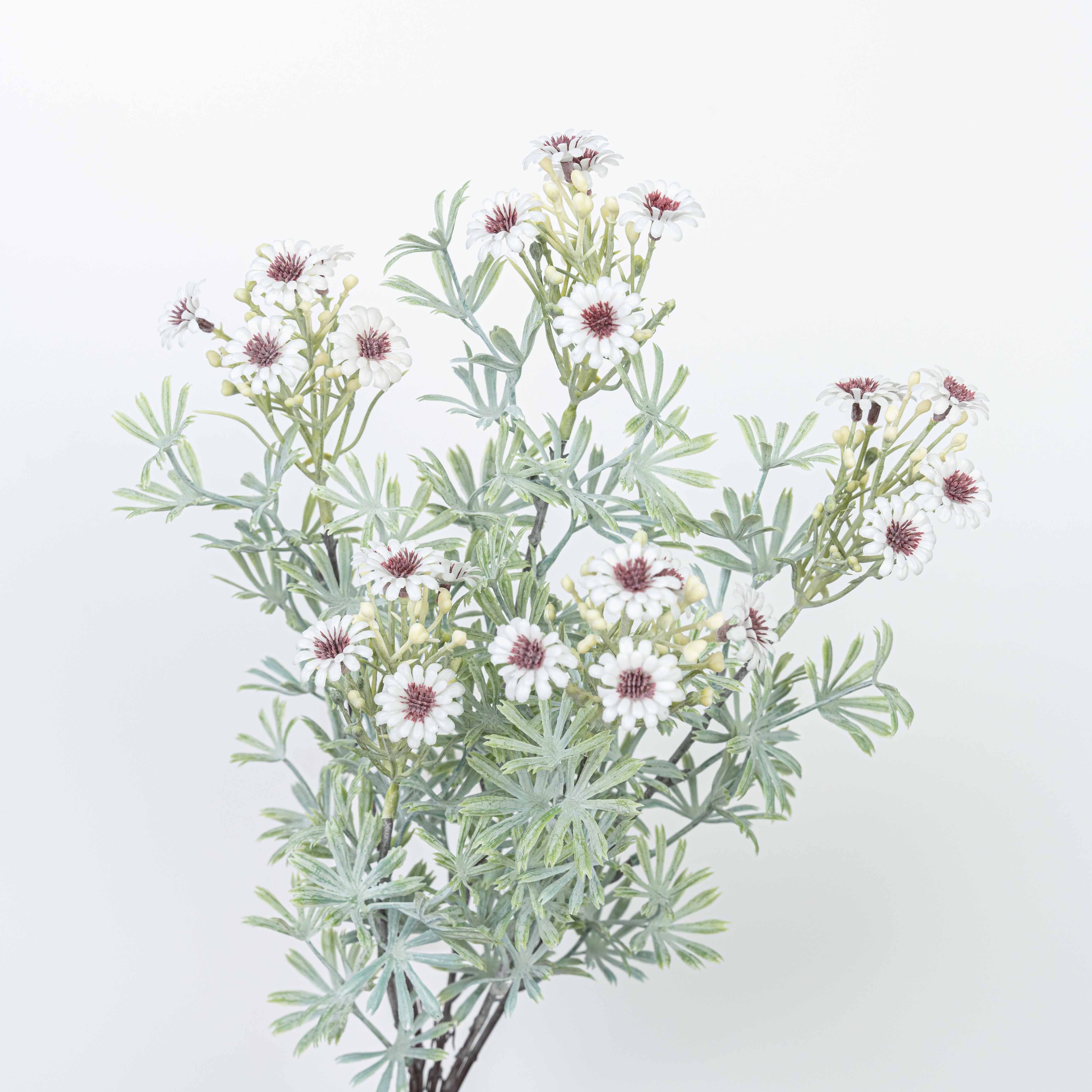 18" DAISY BUSH X 5