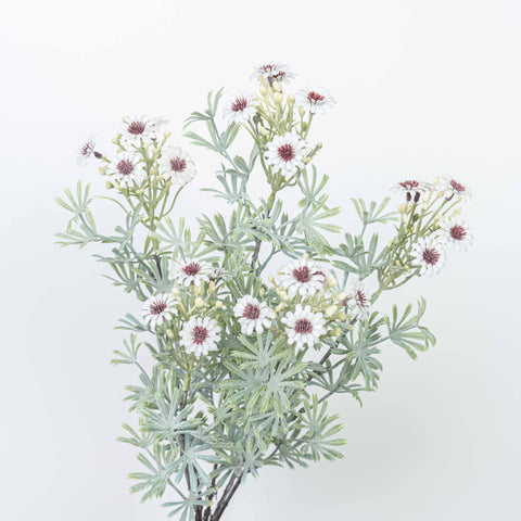 18" DAISY BUSH X 5