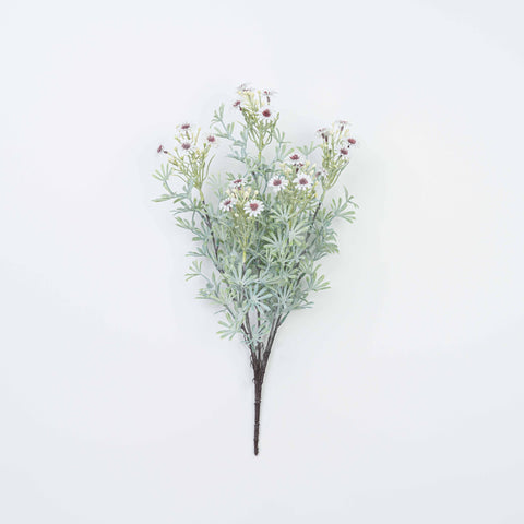 18" DAISY BUSH X 5