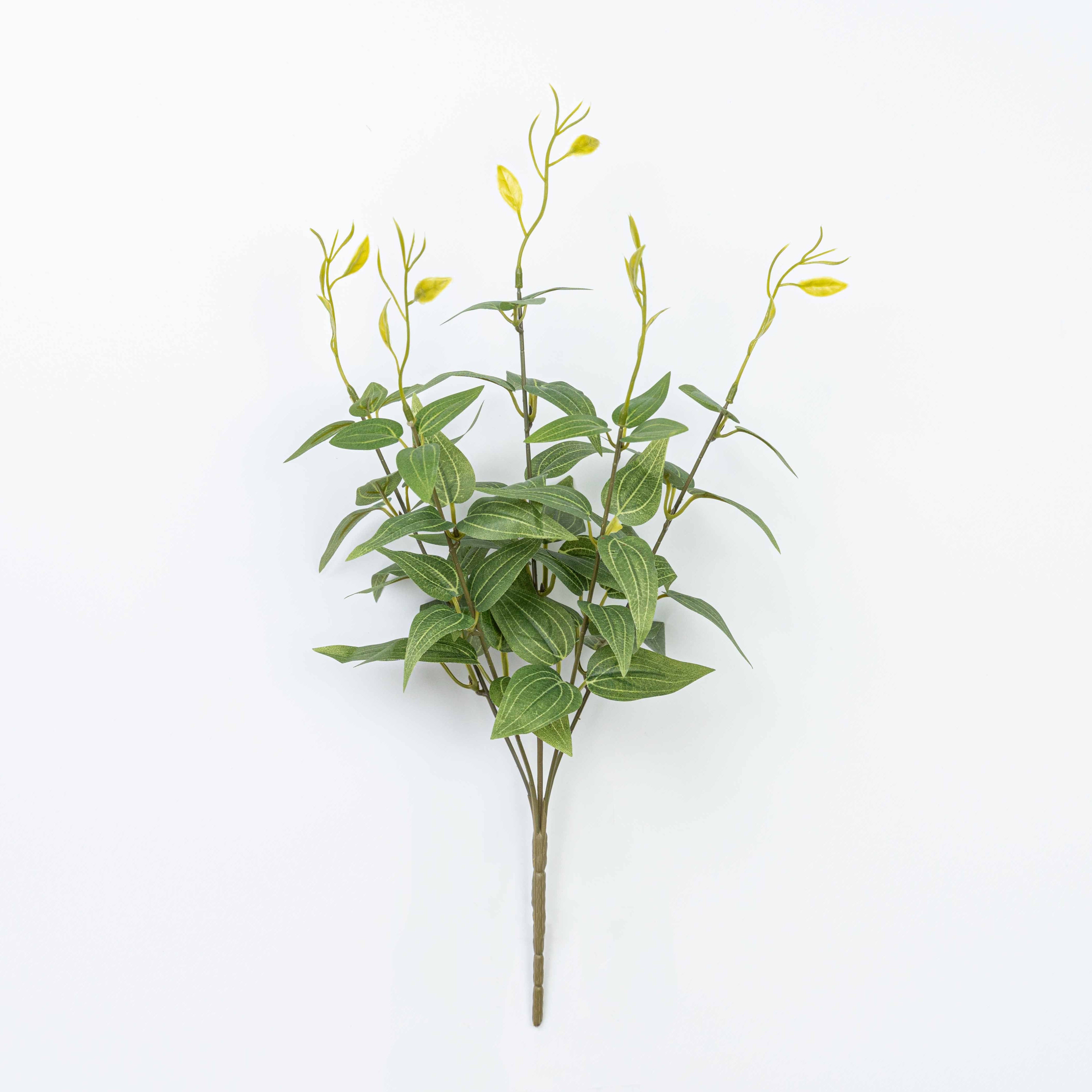 16" JUJUBE LEAF BUSH X 5