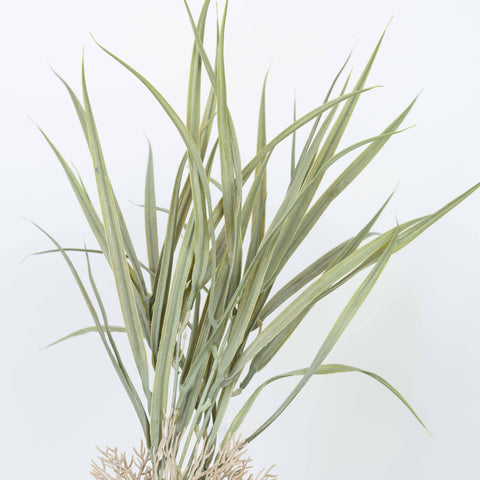 19" PE GRASS BUSH X 5