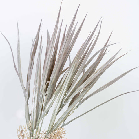 19" PE GRASS BUSH X 5