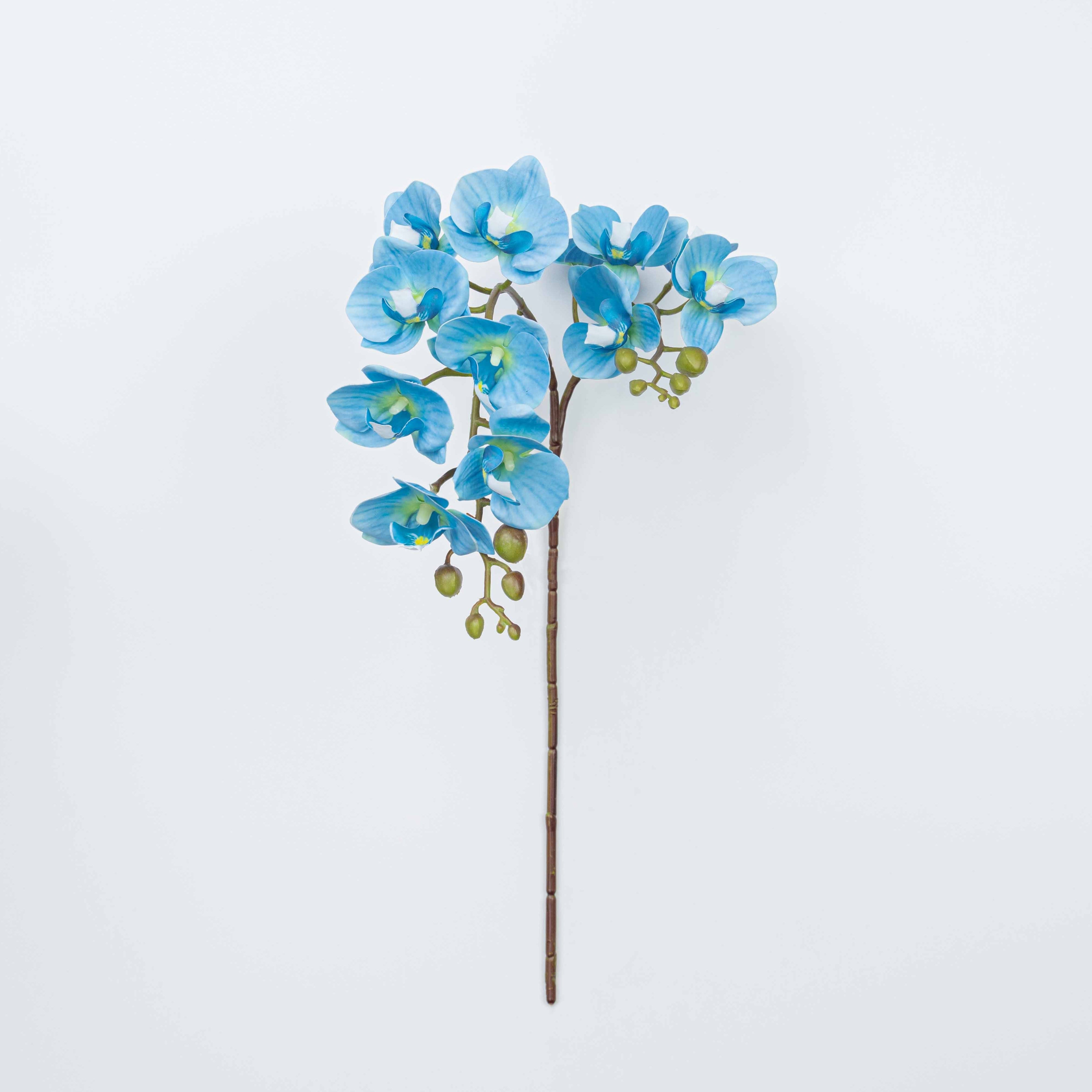 25" PHALAENOPSIS SPRAY