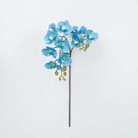 25" PHALAENOPSIS SPRAY