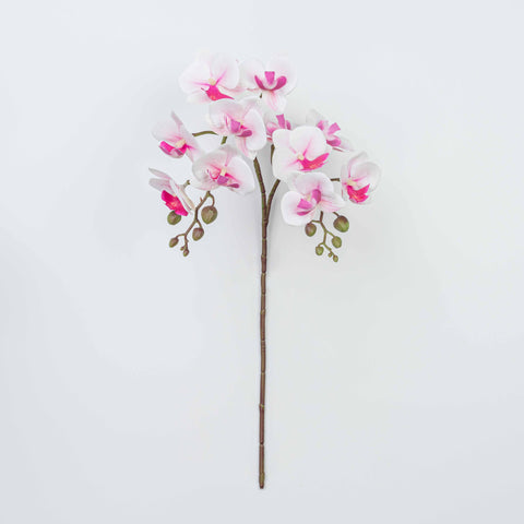 25" PHALAENOPSIS SPRAY