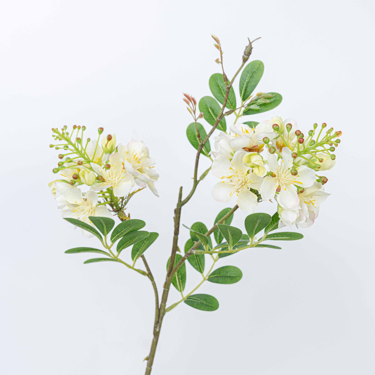 24" SOPHORA FLOWER SPRAY