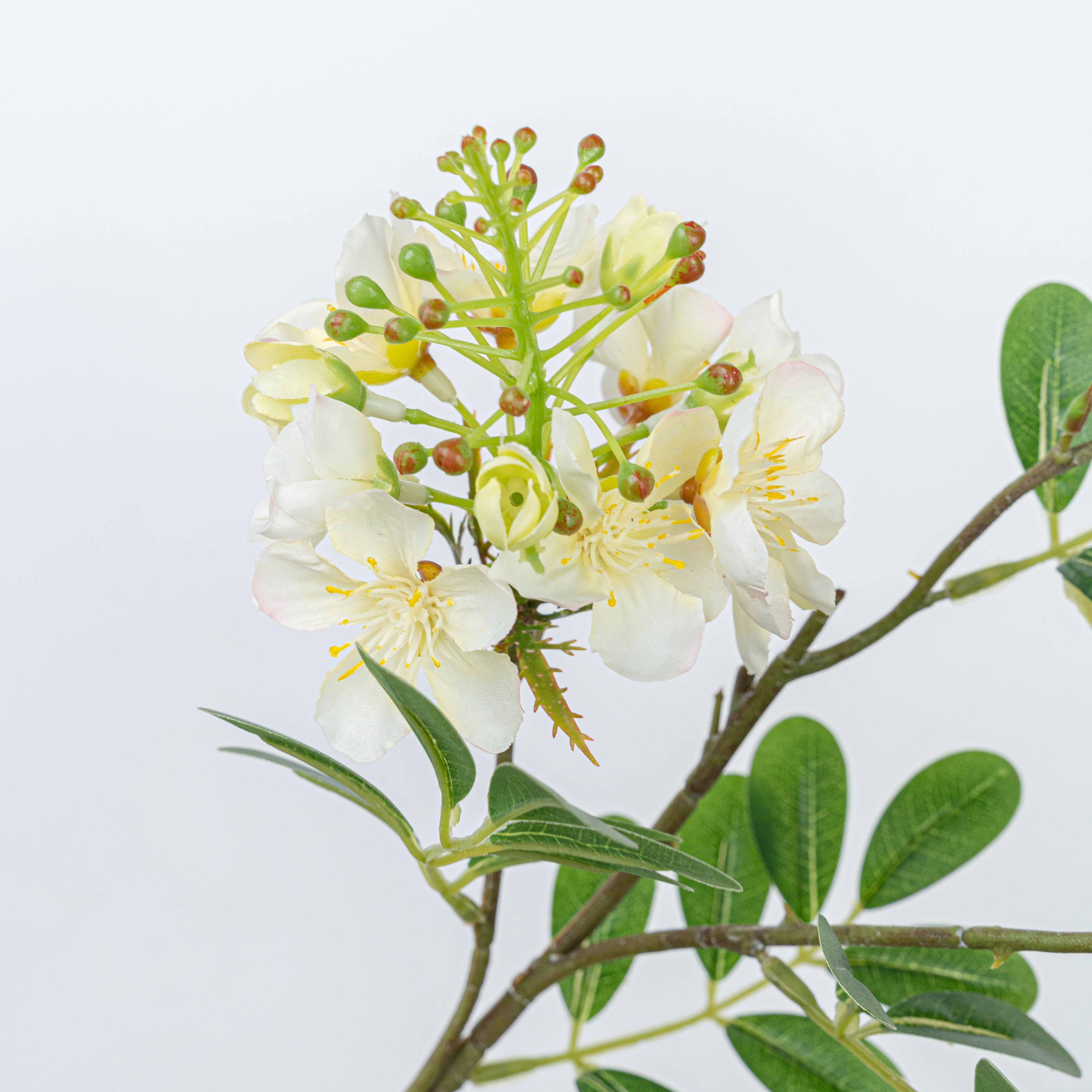 24" SOPHORA FLOWER SPRAY