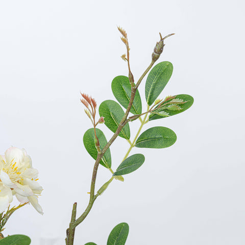 24" SOPHORA FLOWER SPRAY