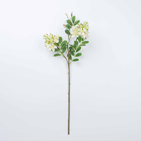 24" SOPHORA FLOWER SPRAY