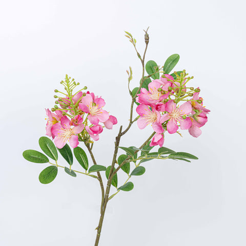 24" SOPHORA FLOWER SPRAY