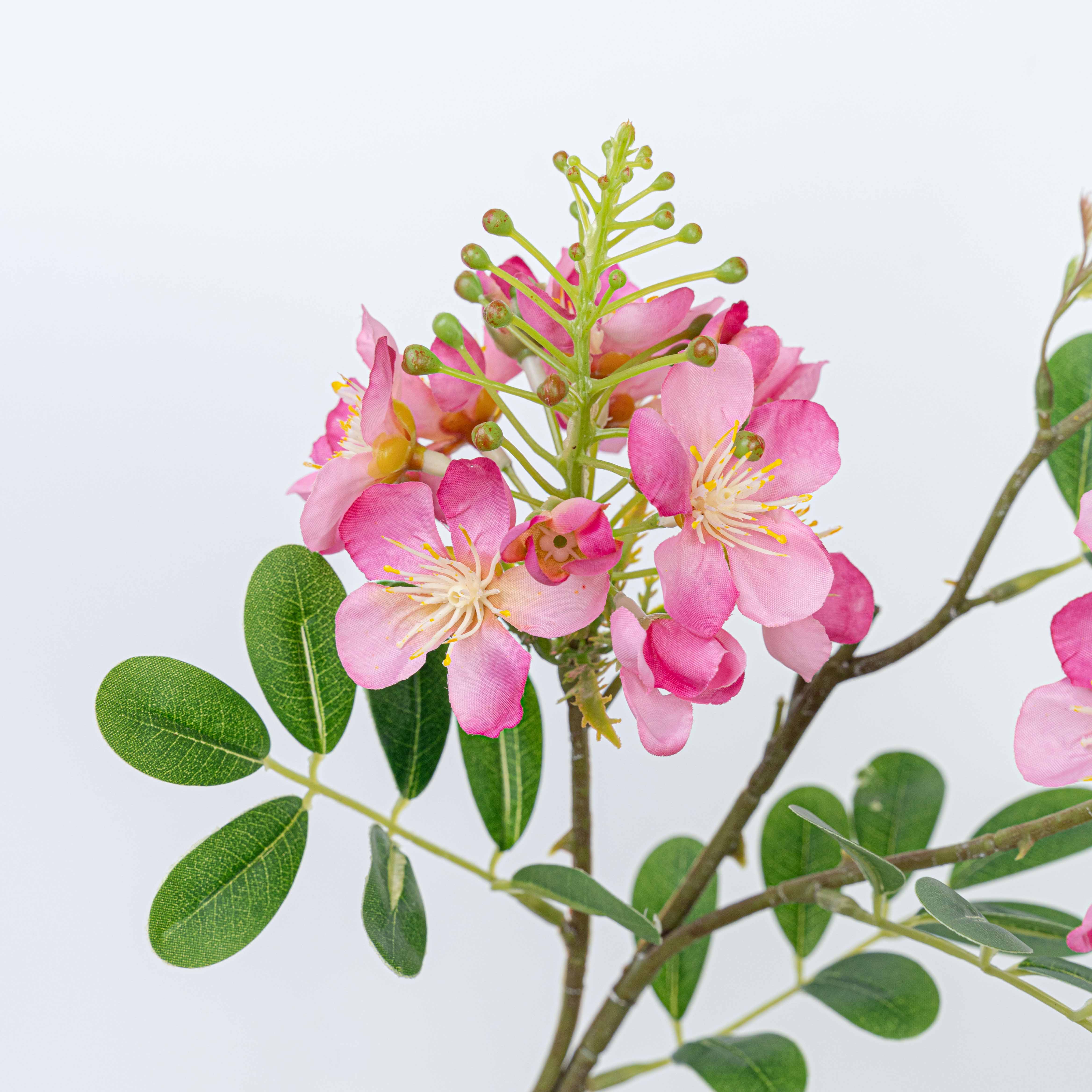 24" SOPHORA FLOWER SPRAY