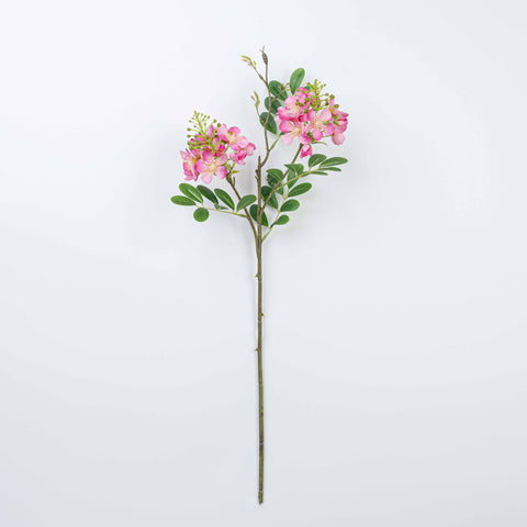 24" SOPHORA FLOWER SPRAY