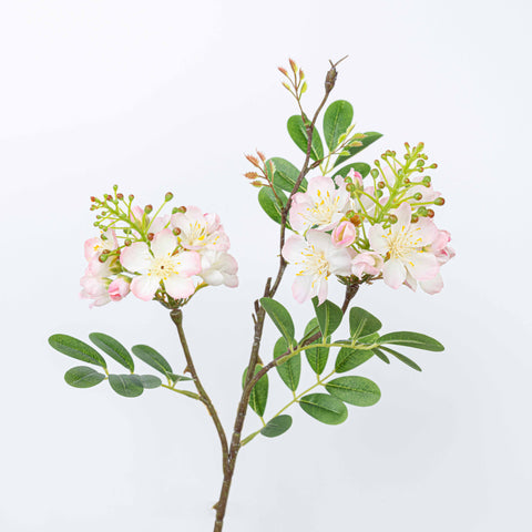 24" SOPHORA FLOWER SPRAY