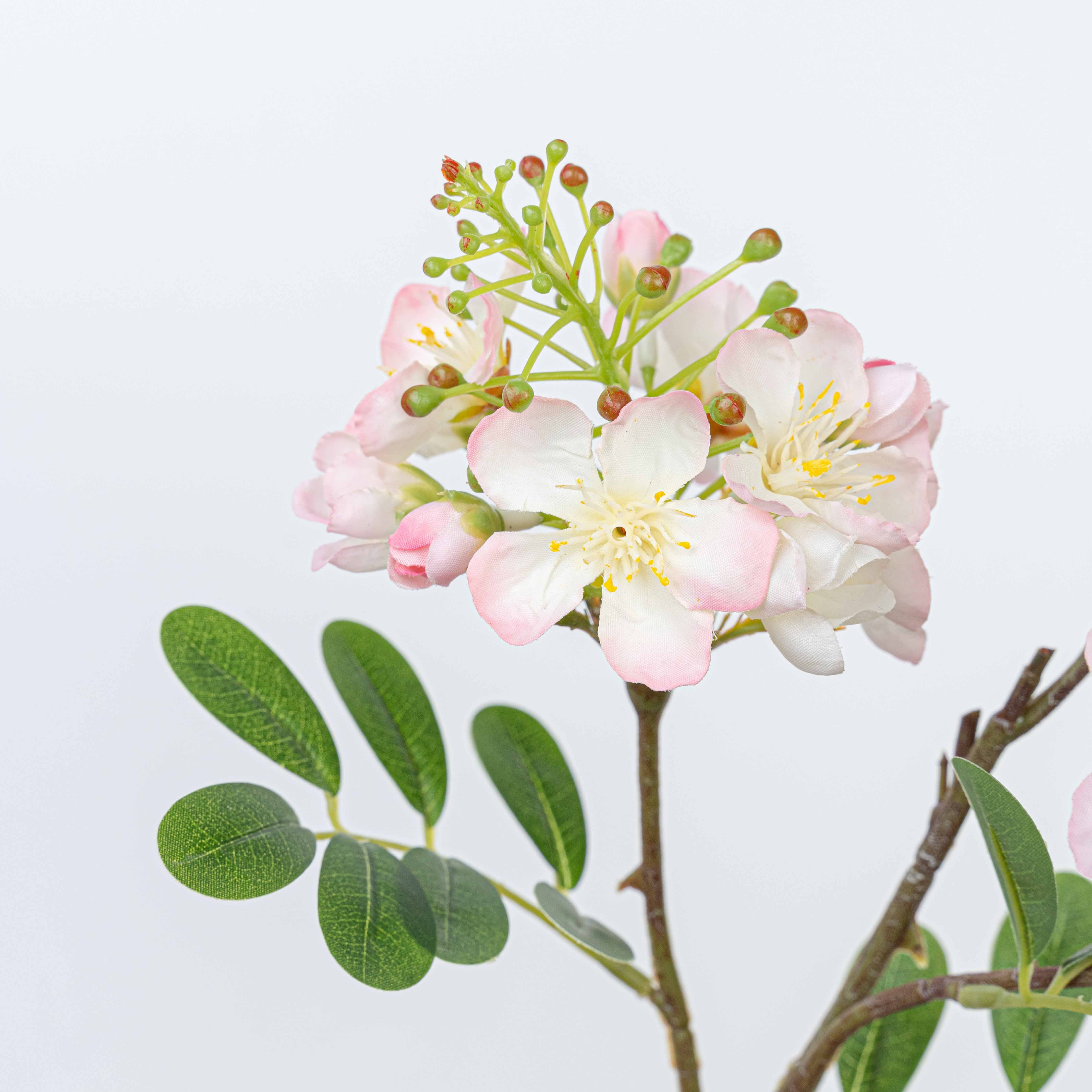 24" SOPHORA FLOWER SPRAY