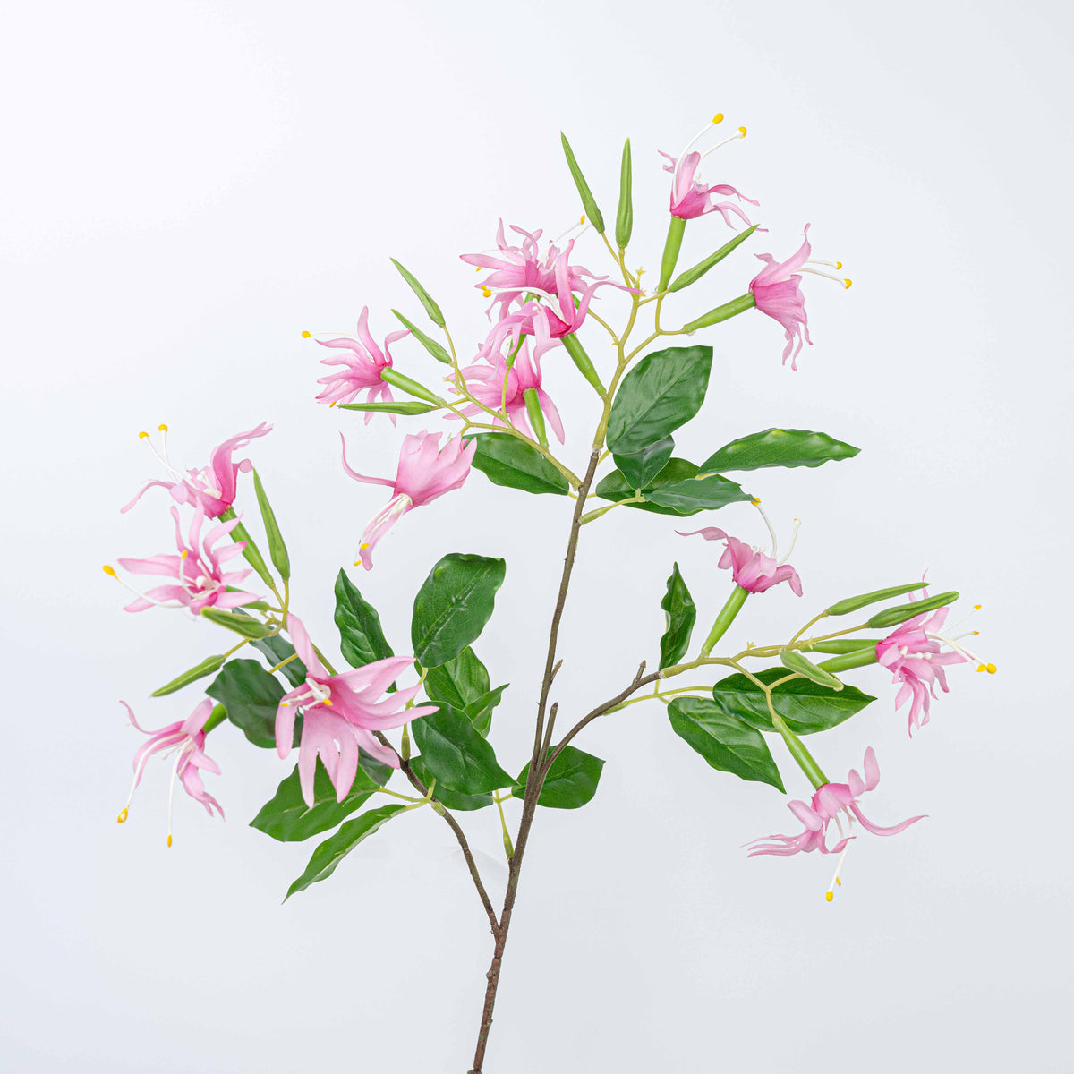 29" STEPHANOTIS SPRAY