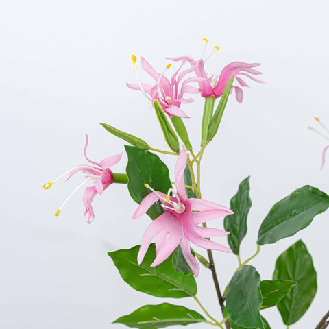 29" STEPHANOTIS SPRAY