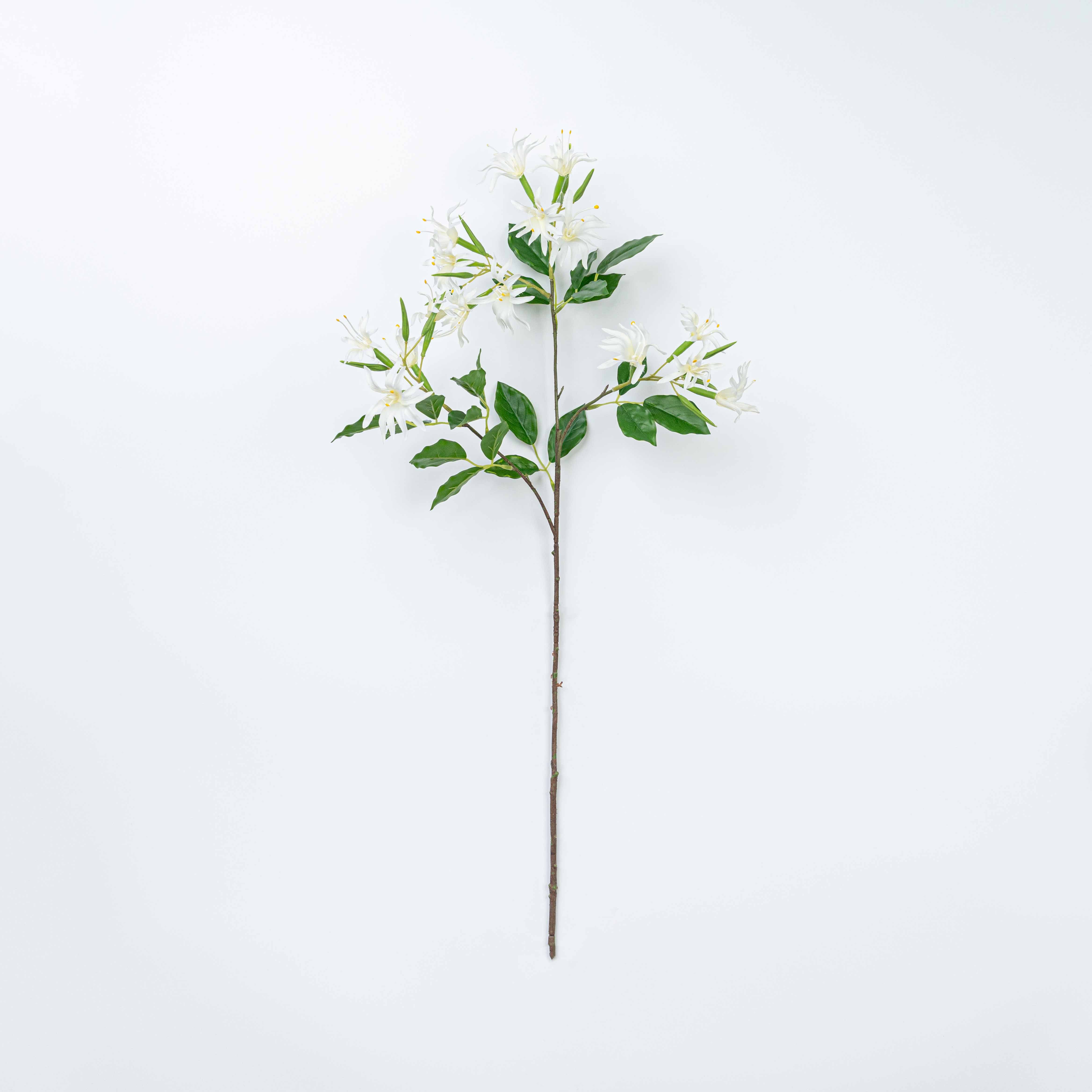 29" STEPHANOTIS SPRAY