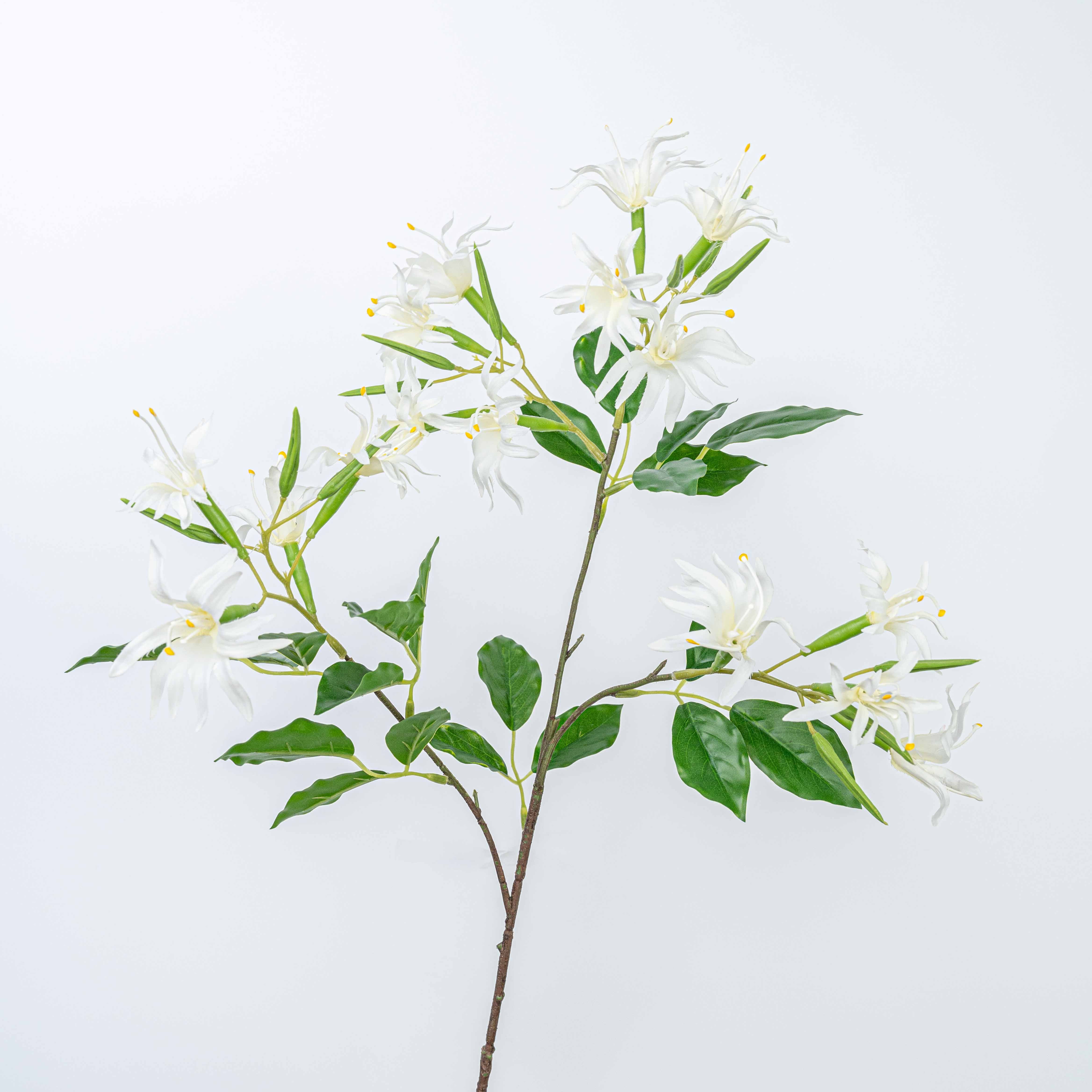 29" STEPHANOTIS SPRAY